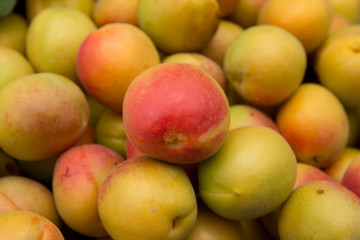 apricot as a background