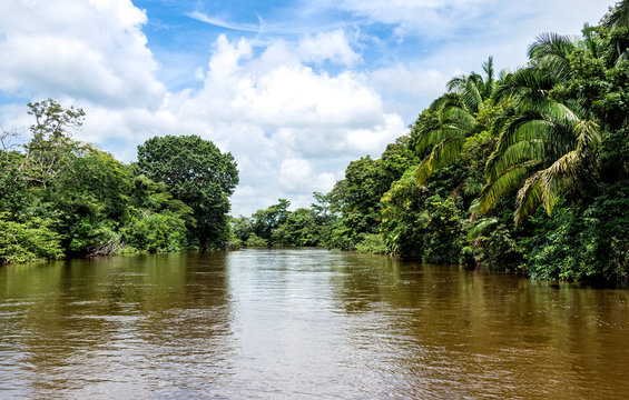 Frio River In Costa Rica Jungle.