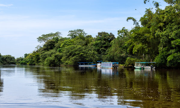 Frio River In Costa Rica