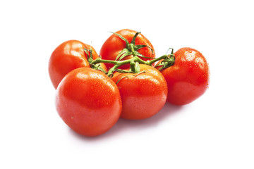Closeup of vine tomatoes isolated on white