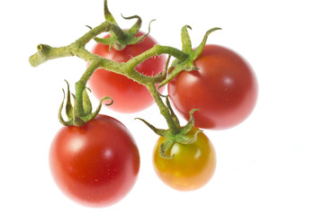 Cherry tomatoes