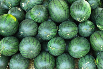 Fototapeta na wymiar A bulk of watermelon from organic farm