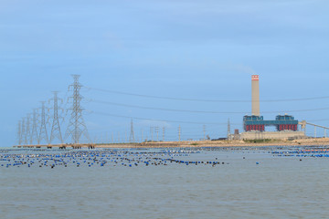 Fossil Fuel Coal Burning Electrical Power Plant