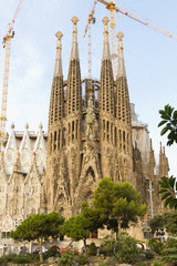 Fototapeta na wymiar Sagrada Familia