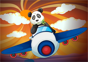 panda volant en avion