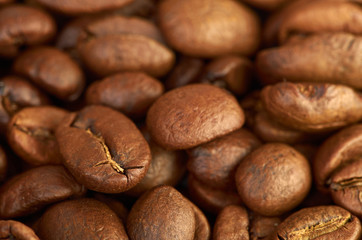fress coffee beans