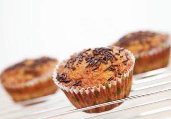 Muffin with chocolate for a tasty dessert