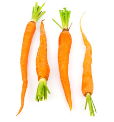 Ripe fresh carrots