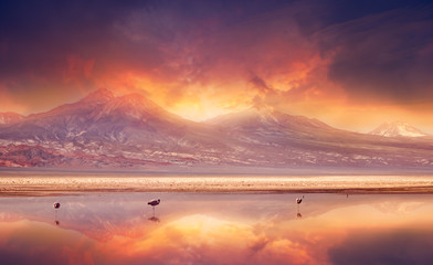 Volcanic Vibes