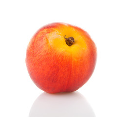 One fresh nectarine in closeup