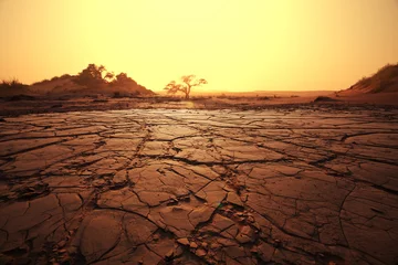 Fototapete Sandige Wüste Dürres Land