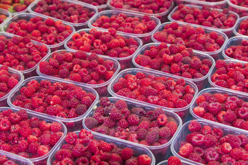 Beautiful selection of raspberries on market stand