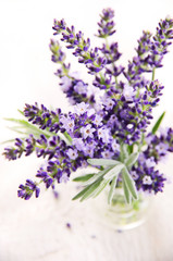 Fototapeta premium Lavendel