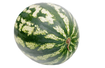 watermelon isolated