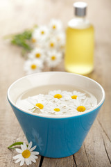 camomile flowers and essential oil