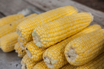 fresh corn