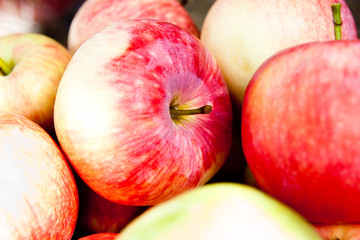 apple background