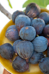 Fig