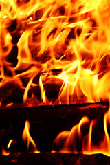 Fototapeta premium flames background, fire, camp-fire