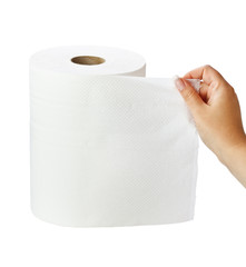 Paper towel roll