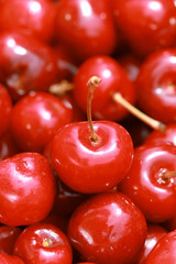 cherry selection