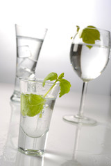 szkło i alkohol © npls