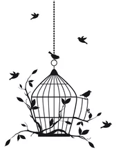 Foto auf Acrylglas Vögel in Käfigen freie Vögel mit offenem Vogelkäfig, Vektor