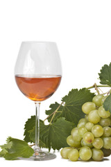 Wine and grapes