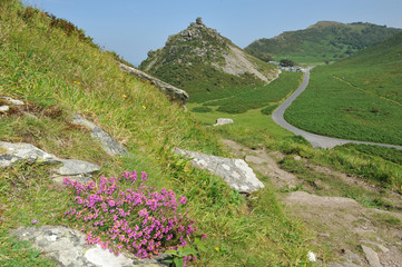 Valley of the Rocks - Exmoor