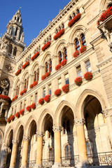 Fototapeta na wymiar Rathaus in Vienna, Austria