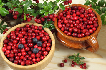 Cranberries