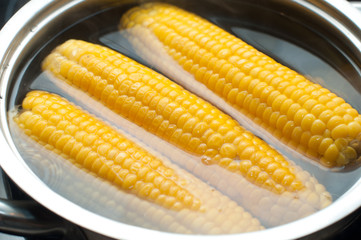 boiled corn in the pot