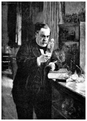 Scientist 19th century (Louis Pasteur) - obrazy, fototapety, plakaty