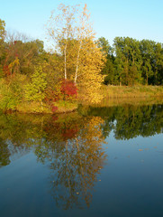 Autumn colors with trees reflected in a pond