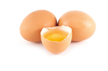 eggs