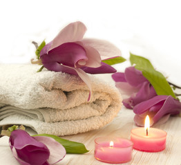 magnolia spa setting