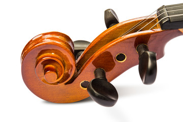Scroll and pegbox of violin