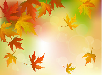 Fototapeta na wymiar abstrakcyjne tło jesień