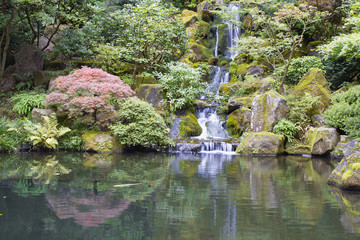 Japanese Garden Koi Pond with Waterfall