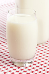 Tall Organic Glass of White Milk