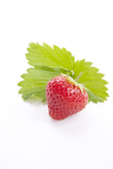 frische erdbeeren mit grünen blättern isoliert auf weiß