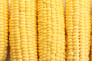 fresh corn, close up