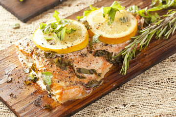 Fresh Grilled Salmon