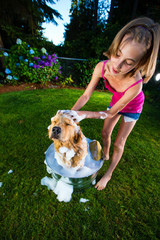Young girl giving her dog a bath