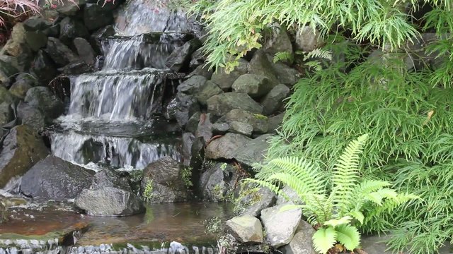 Waterfall in Backyard Zen Garden with Plants