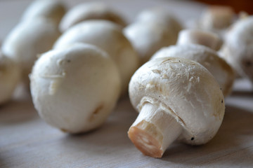 Mushrooms
