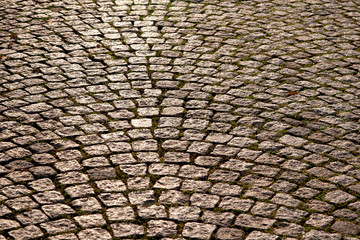 The pavement in sunlight