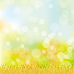 Obraz premium grass background