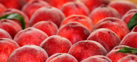 Fresh ripe peaches.