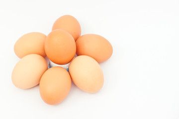 Many eggs